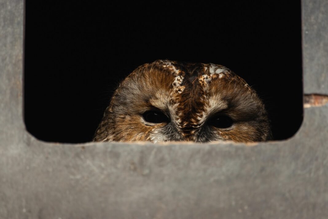 Hidden Intelligence: 7 Signs You’re Smarter Than You Think Hidden Intelligence: 7 Signs You’re Smarter Than You Think