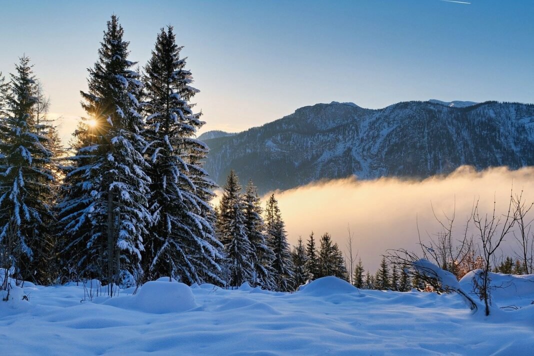 Winter Weather Rights and Responsibilities: Heating and Snow Clearance