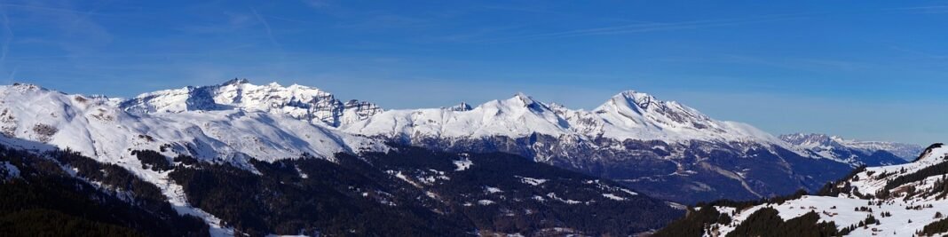 Snow Supply Chain: Empty Shelves Highlight Dutch Resilience
